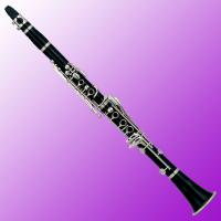 Large picture Clarinet