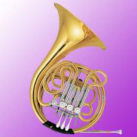 Large picture French Horn