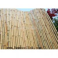 Large picture bamboo fencing, bamboo fence, bamboo edging