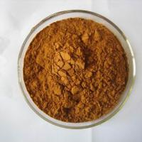 Large picture Ginger Powder Extract