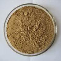 Large picture Ginkgo Biloba Powder EXtracts