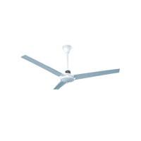Large picture Ceiling fan