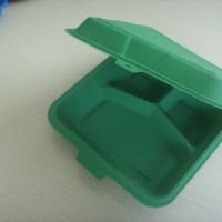 Large picture Biodegradable container