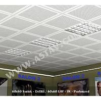 Large picture T-24 System Ceilings