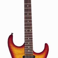 Large picture electric guitar LS-32 P