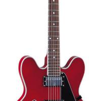 Large picture electric guitar LES-25