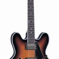 Large picture electric guitar LES-25 F