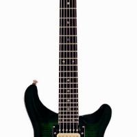 Large picture electric guitar LPR-23 F