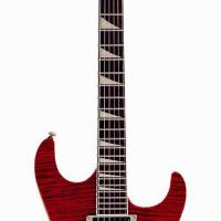 Large picture electric guitar LS-23 F-DL