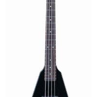 Large picture electric bass LFB-25