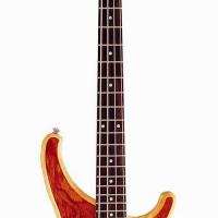 Large picture electric bass LWB-25