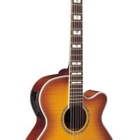 Large picture acoustic guitar LMJG-16M-CE