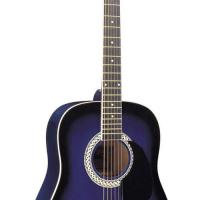 Large picture acoustic guitar LDG-15L