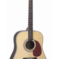 Large picture acoustic guitar LDG-38 R