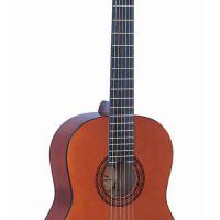 Large picture classical guitar LCG-17 L