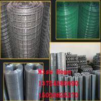 Large picture welded wire mesh, galvanized mesh, welded net, pvc