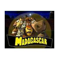 Large picture Madagascar