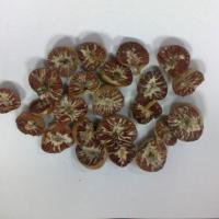 Large picture Betel Nuts