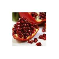 Large picture Pomegranate Juice Concentrate(Reddish Color)