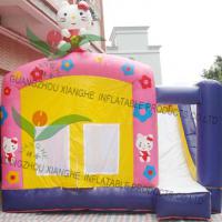 Large picture inflatable bouncer