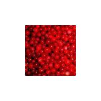 Large picture lingonberry red, lingonberry anthocyanidins