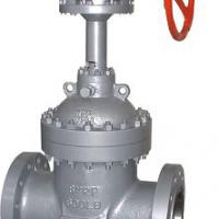Large picture flat plate gate valve