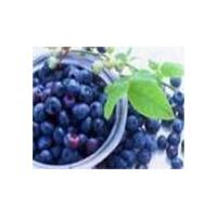 Large picture Sweetberry Anthocyanin (sales6 at lgberry)