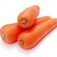 Large picture carrot fresh and frozen