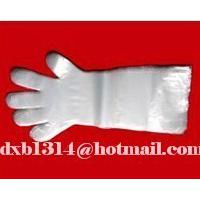 Large picture veterinary long glove
