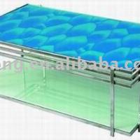 Large picture Glass Coffee Table