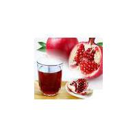 Large picture Pomegranate Juice Concentrate
