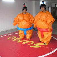 Large picture sumo suit