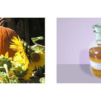 Large picture pumpkin seed oil