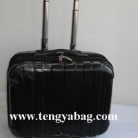 Large picture trolley case