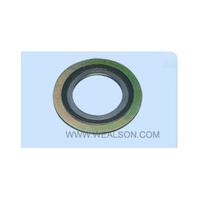 Large picture Spiral Wound Gaskets