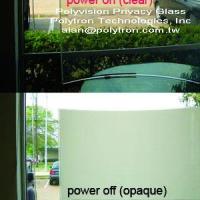 Large picture Polyvision Privacy Glass