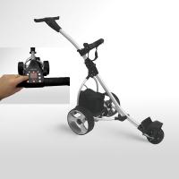 Large picture 601G Digital Amazing electrical golf buggy