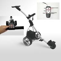 Large picture 601GR Digital Amazing remote control golf buggy