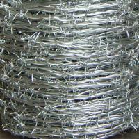 Large picture barbed wire