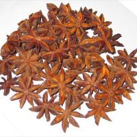 Large picture Star Aniseed