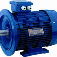 Large picture electric motor