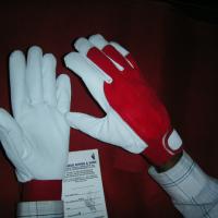 Large picture Working Gloves