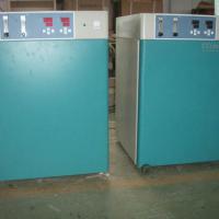 Large picture CO2 Incubator