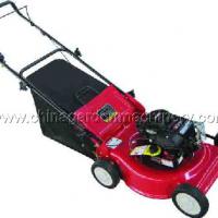Large picture lawn mower