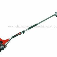 Large picture pole chain saw