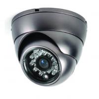 Large picture Dome Camera