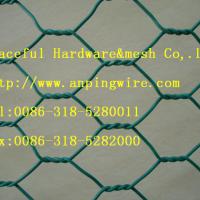 Large picture Hexagonal Wire Mesh