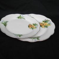 Large picture dinner plate