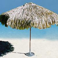 Large picture TROPICAL REAL PALM LEAF THATCHED UMBRELLA