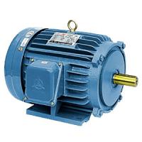 Large picture AC motor